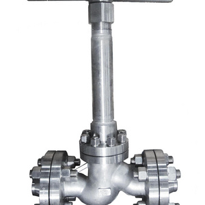 Cryogenic Globe Valve for Turbo Expander Inlet and Outlet Line