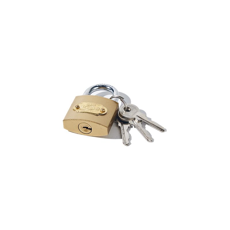 20mm Brass Colored Imitated Painting Family Home Children Notebook Iron Padlock