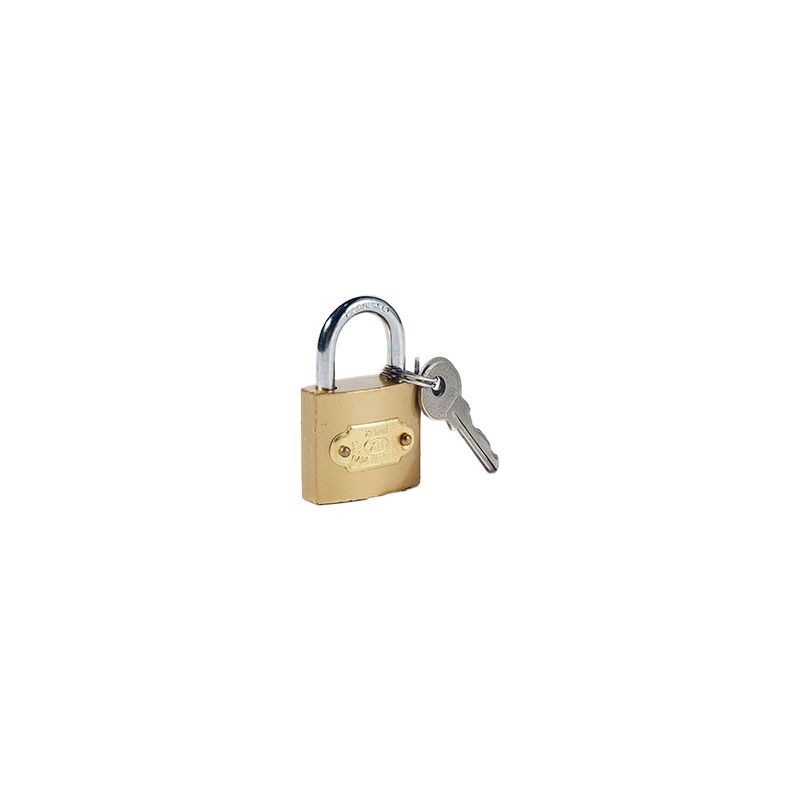 20mm Brass Colored Imitated Painting Family Home Children Notebook Iron Padlock