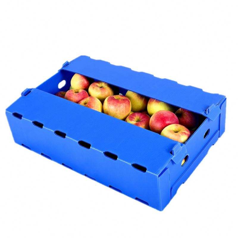 Fruit and Vegetable Hollow Board packing box environmental protection