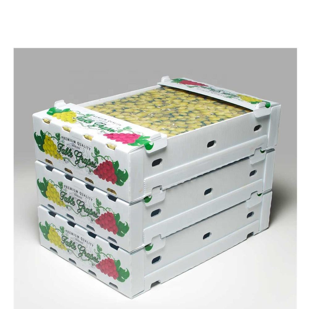 Fruit and Vegetable Hollow Board packing box environmental protection