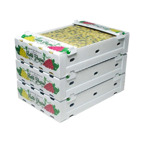 PP hollow board anti-corrosion and moisture-proof packing box