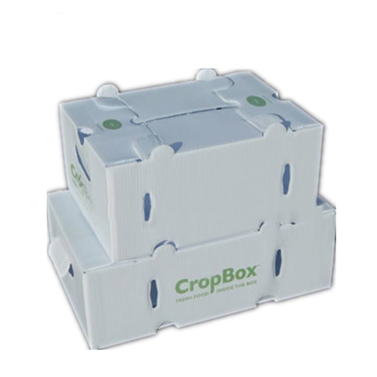 Moisture-proof and mildew-proof gift box can be portable multi-purpose