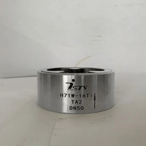 Jestec Titanium Check Valve H71W, Smooth Flow, Low Fluid Resistance, Good Sealing Performance