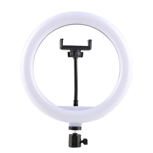 Hot Sell 360 Degree Rotated with One Phone Holder 3 Levels Light Adjustable 10 Inch 26 Cm Ring Light