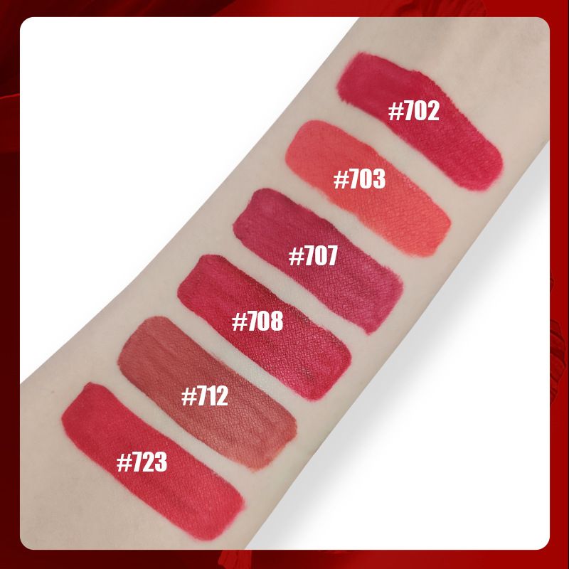 No Transfer Glossy Lip Gloss, Long-lasting Matte Lip Glaze OEM ODM