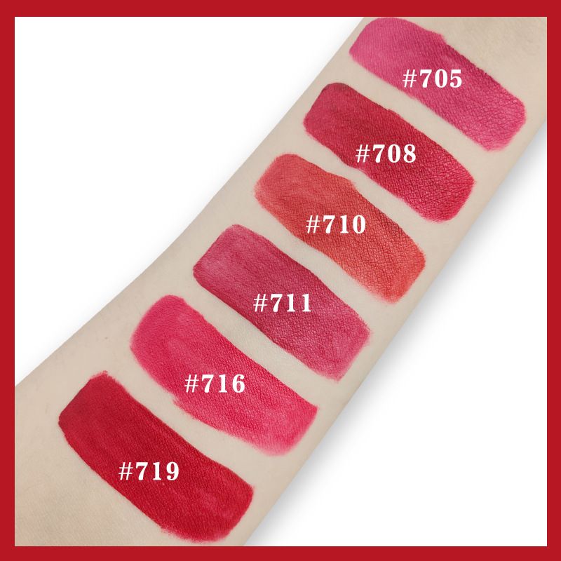 BSIMONE Hot Sale Lip Glaze Moisturizing Velvet Matte Long Lasting Non-fading Lip Gloss OEM ODM