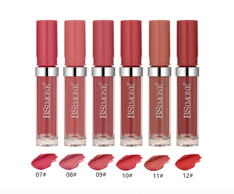 BSMIONE Hot Sell Matte Mist Mouth Lip Gloss Moisturizing Waterproof Non-stick Cup No-fade Lip Glaze OEM ODM