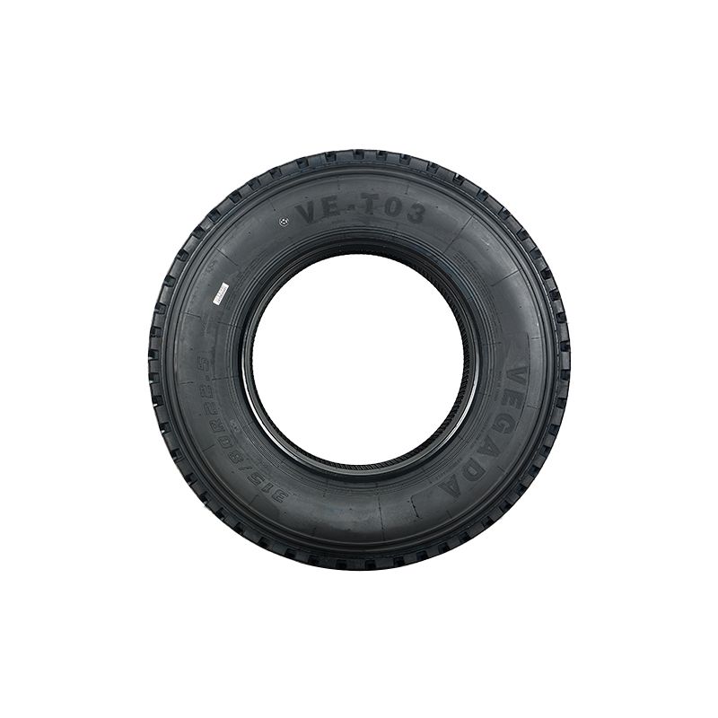 China Top Quality New Branded Vagada Radial Tubeless Truck Tire