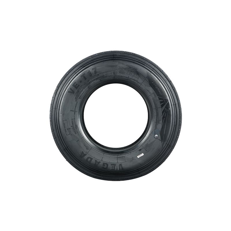 Top Quality Chinese Brand Low Price Radial Truck Tyre For Vehicles