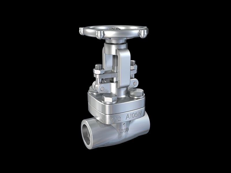 Forged Steel Gate Valve