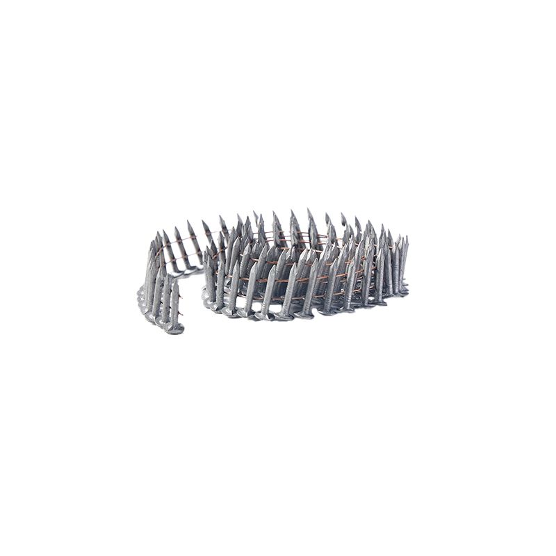 Hot Selling Galvanized Head Screw Roofing Nail High Quality Coil Roofing Nail