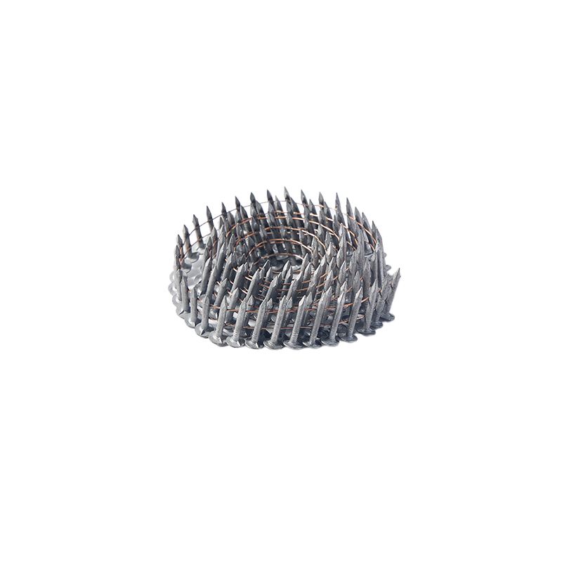 Hot Selling Galvanized Head Screw Roofing Nail High Quality Coil Roofing Nail