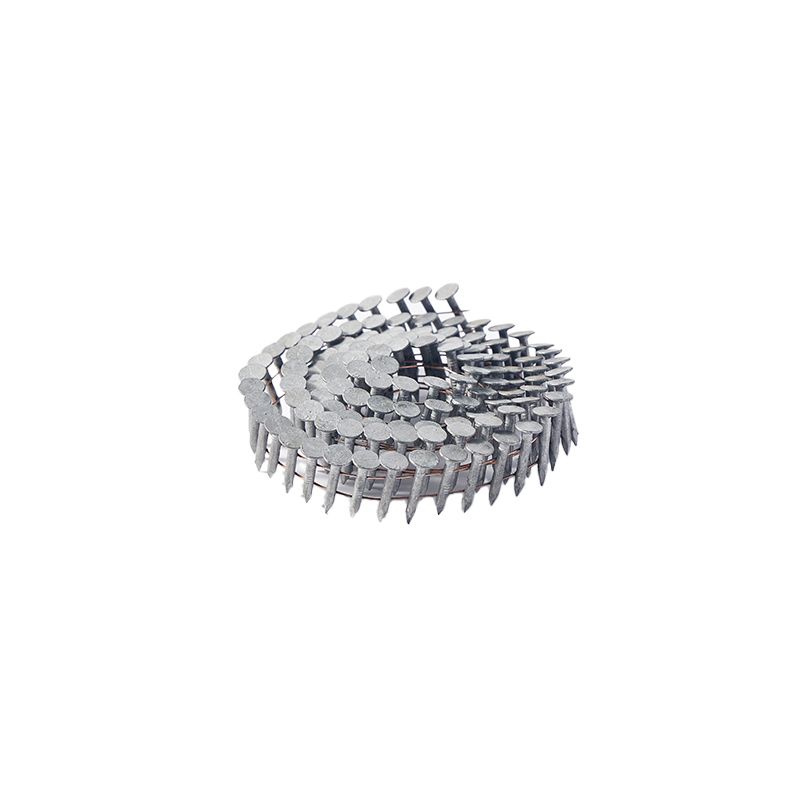 Hot Selling Galvanized Head Screw Roofing Nail High Quality Coil Roofing Nail