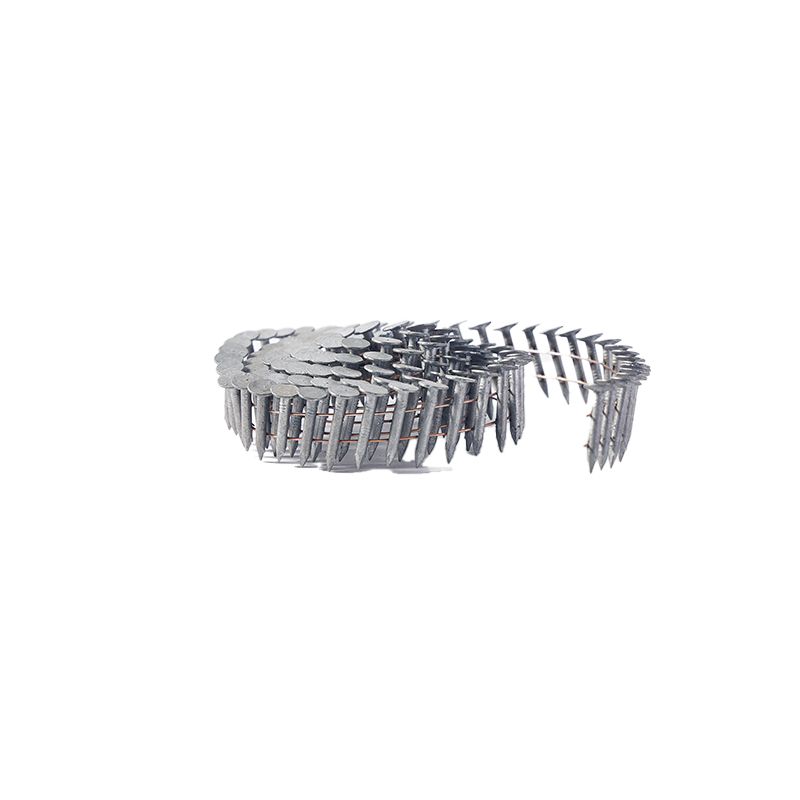 Hot Selling Galvanized Head Screw Roofing Nail High Quality Coil Roofing Nail