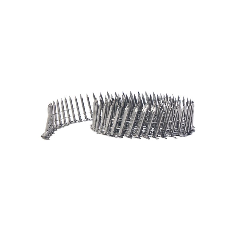 High Quality Steel Nails Factory Collated Coil Nails For Pallet Pneumatic Nail Gun Use