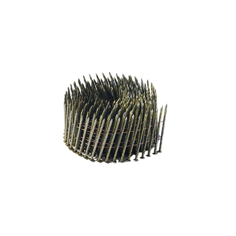 High Quality Various Sizes Twisted Shank Coil Nail With Lower Price And Different Size