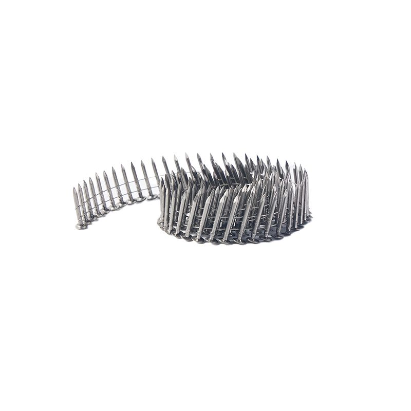 Hardware Common Wire Welding Stainless Steel Coil Roofing Nails Collated Nails