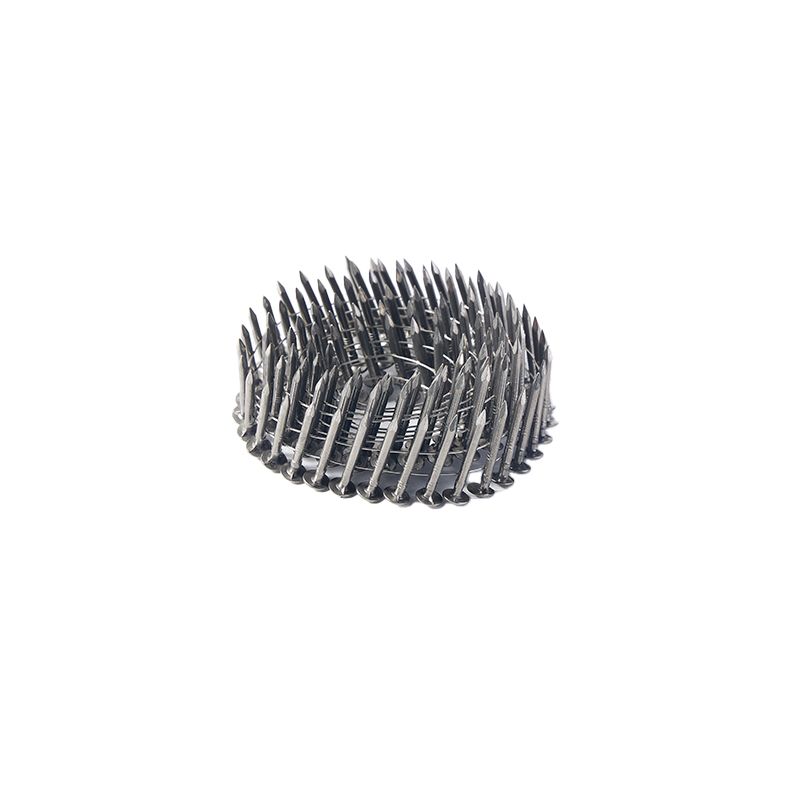 Hardware Common Wire Welding Stainless Steel Coil Roofing Nails Collated Nails