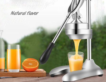 Fruit Squeezer