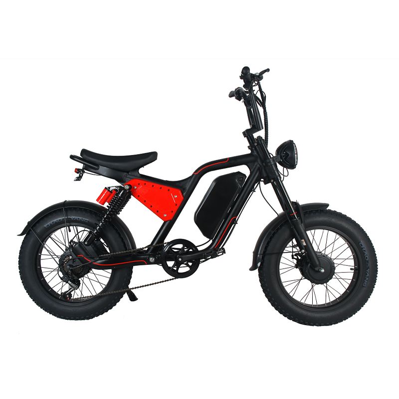 Long Range 20 Inch Electric Fat Tire Mountain Dirt Adult Pit Motorcycle Electrical System City E Bike