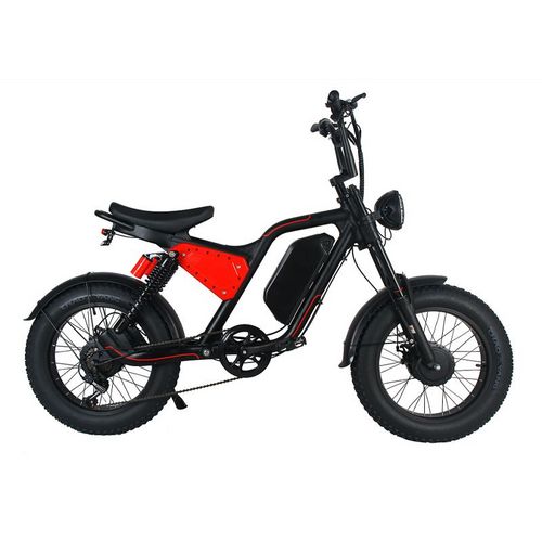 Long Range 20 Inch Electric Fat Tire Mountain Dirt Adult Pit Motorcycle Electrical System City E Bike