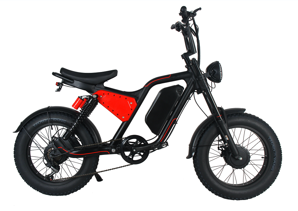 Long Range 20 Inch Electric Fat Tire Mountain Dirt Adult Pit Motorcycle Electrical System City E Bike