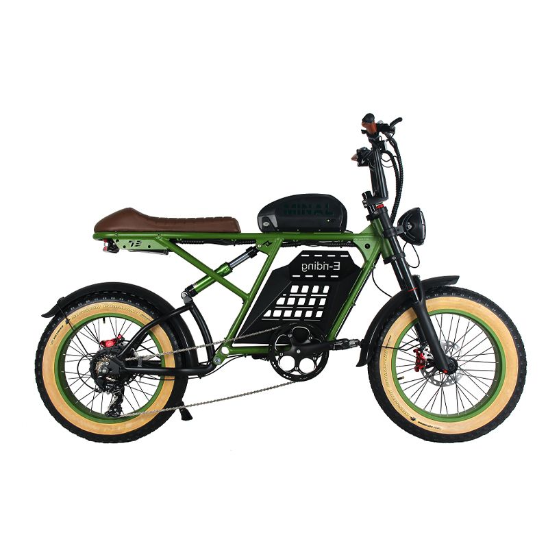 Mountain Electric Bike 48v 15ah Battery 500x2 Dual Motor Rear Drive Brushless Gear Hub 20''fat Tire Ebike