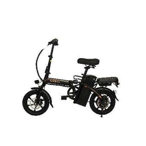 Wholesale Foldable Removable Hot Sell Electric Bike 14inch 48v8ah Folding Bike