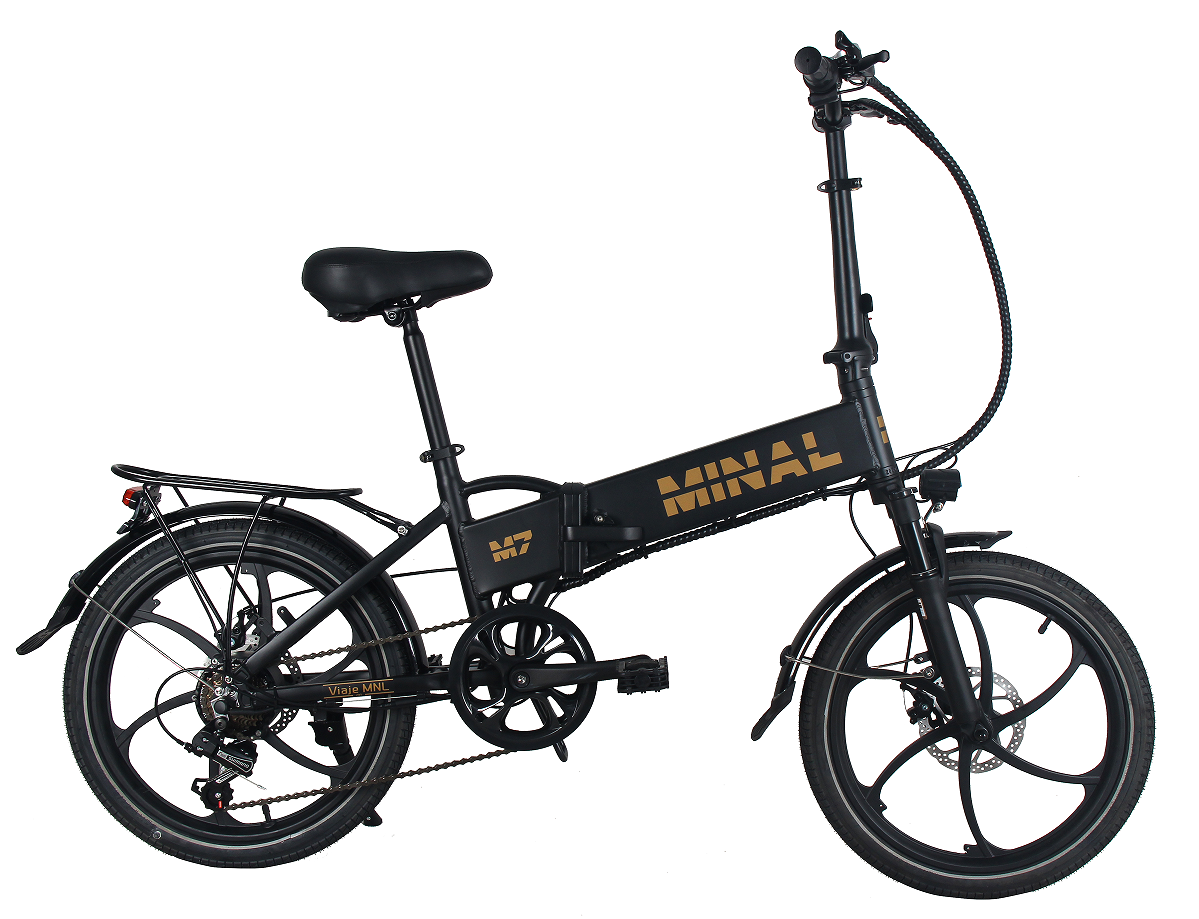 Wholesale Price Two Wheel Hot Sell Lithium Battery Electric Bicycle For Two People