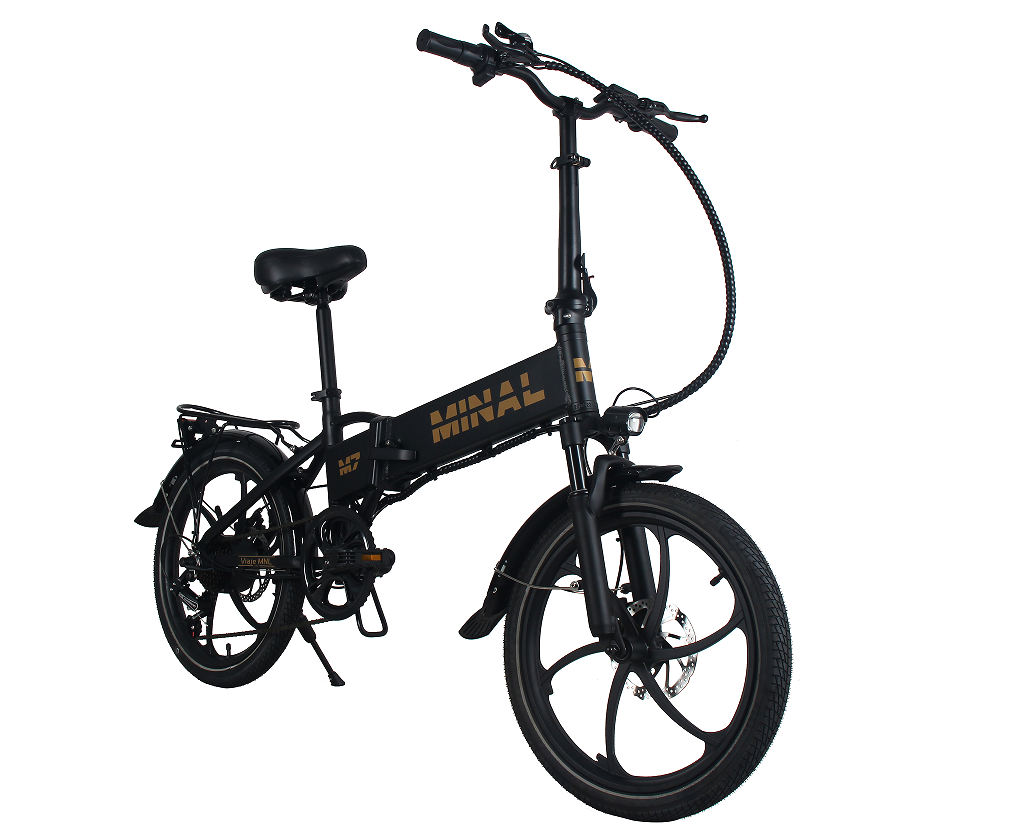 Wholesale Price Two Wheel Hot Sell Lithium Battery Electric Bicycle For Two People