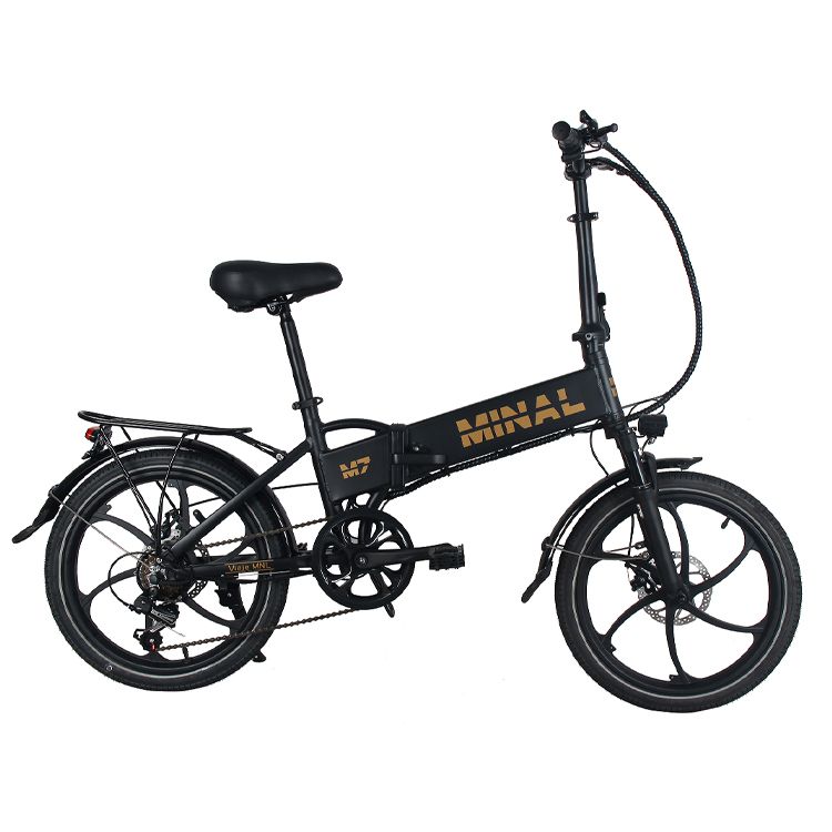 Wholesale Price Two Wheel Hot Sell Lithium Battery Electric Bicycle For Two People