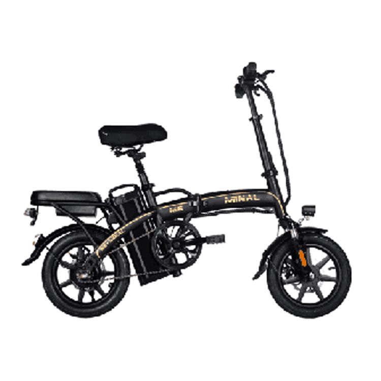 Custom Super Beautiful And Durable Folding Electric Bike Ebike For Adults