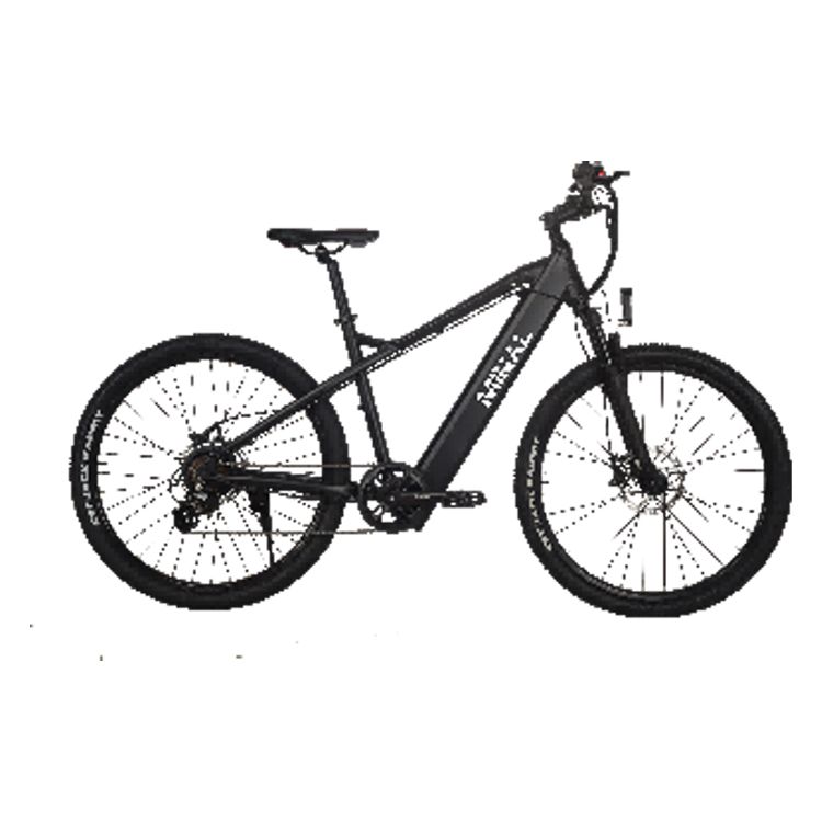 Hot Selling High Performance Mountian electric E Bike For Daily Use