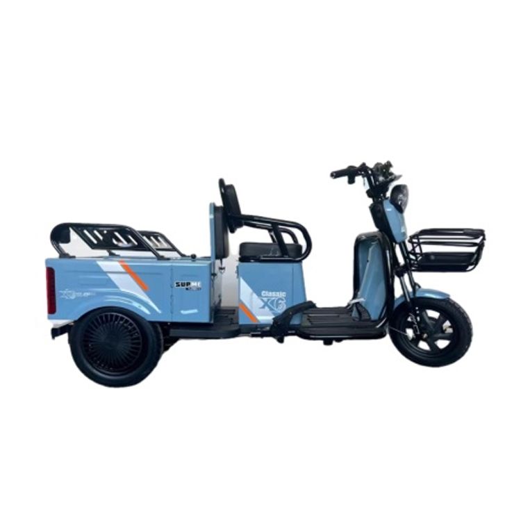 New Adult Electric Bike 3 Wheels Tricycles Electric Tricycle With Roof Turkey For Passengers