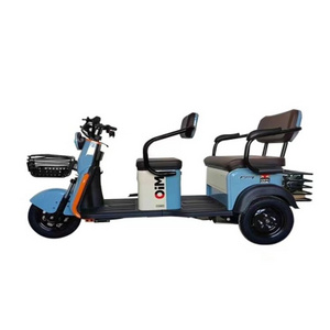 Super Power Custom Color Three Wheel Electric Tricycle For Home