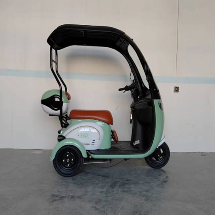 Adult Elderly Passenger Mobility Scooter Fat Tire Three Wheels Electric Tricycle With Roof