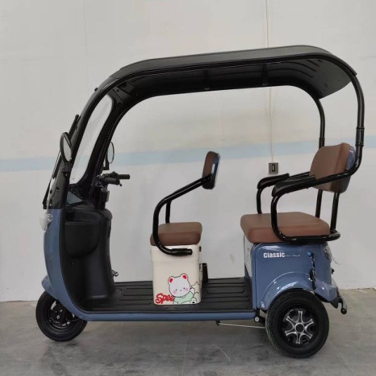 Adult Elderly Passenger Mobility Scooter Fat Tire Three Wheels Electric Tricycle With Roof