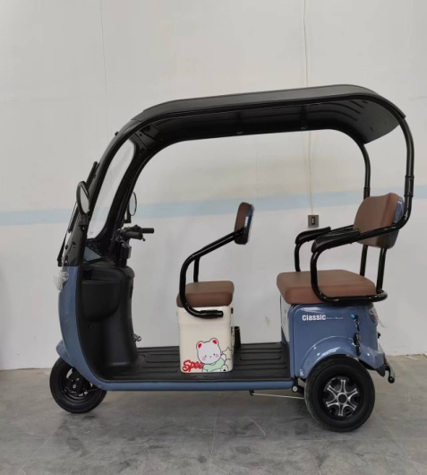 Adult Elderly Passenger Mobility Scooter Fat Tire Three Wheels Electric Tricycle With Roof