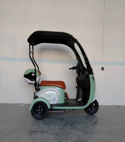 Hot Sale Motorcycle Motorized Tricycle Petrol Electric Tricycles Cargo Truck Ricycle Adult Electric Reverse Trike