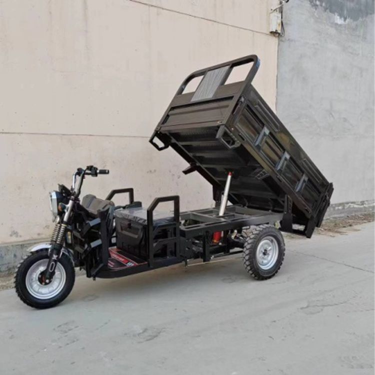 Hot Selling Electric Passenger Tricycle Cargo Trike Three Wheel Scooter