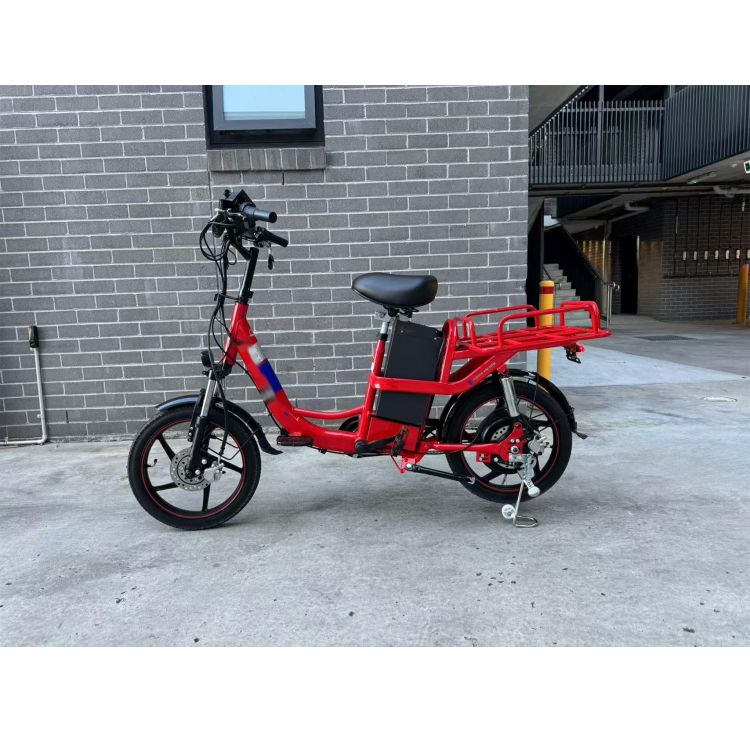 Custom Carton Box Two Wheel Electric Cargo Bike Delivery Ebike for Adult Cargo Trailer