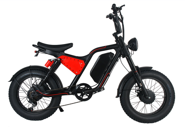 20 Inch Electric Adult Pit Motorcycle Electrical System City e bike MTB Long Range Two Motor 1000W Fat Tire Mountain Dirt Bike