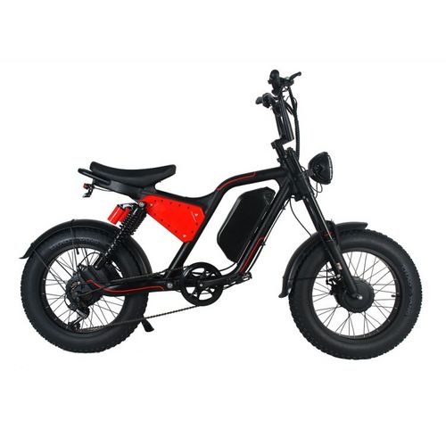 20 Inch Electric Adult Pit Motorcycle Electrical System City e bike MTB Long Range Two Motor 1000W Fat Tire Mountain Dirt Bike