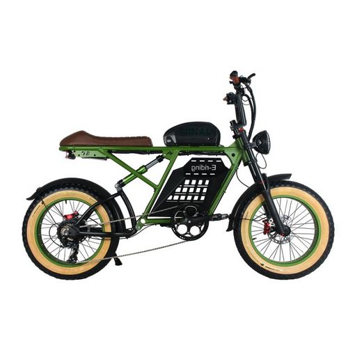 Hot Sell Electric Ebike 20inch 48v15ah Fat Bike