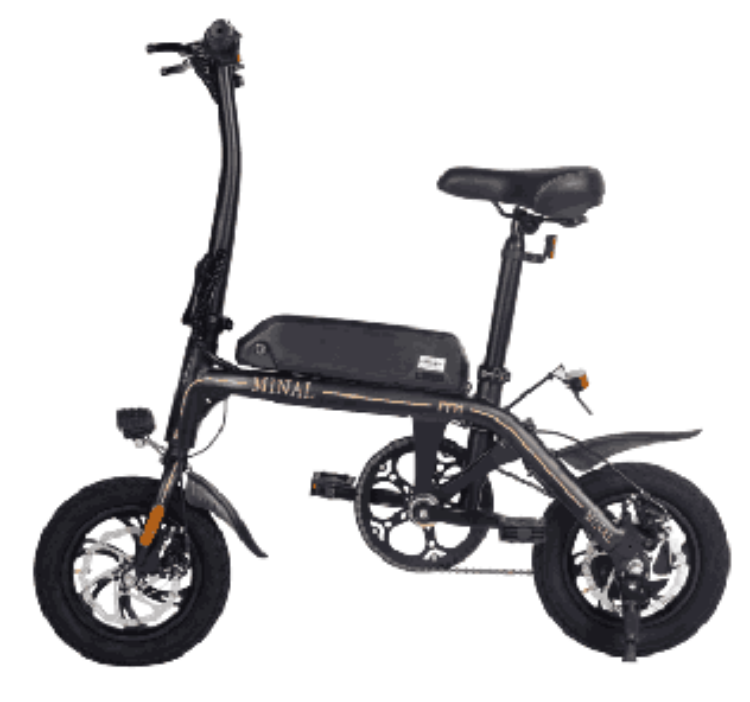 Wholesale Sports 250w 48v 12.5ah High Quality Folding Electric Bike For Adults