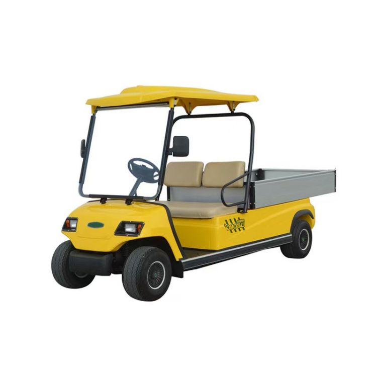 Large Capacity Transportation Vehicles Electric UTV Electric 2 Seater Golf Cart with Cargo Box