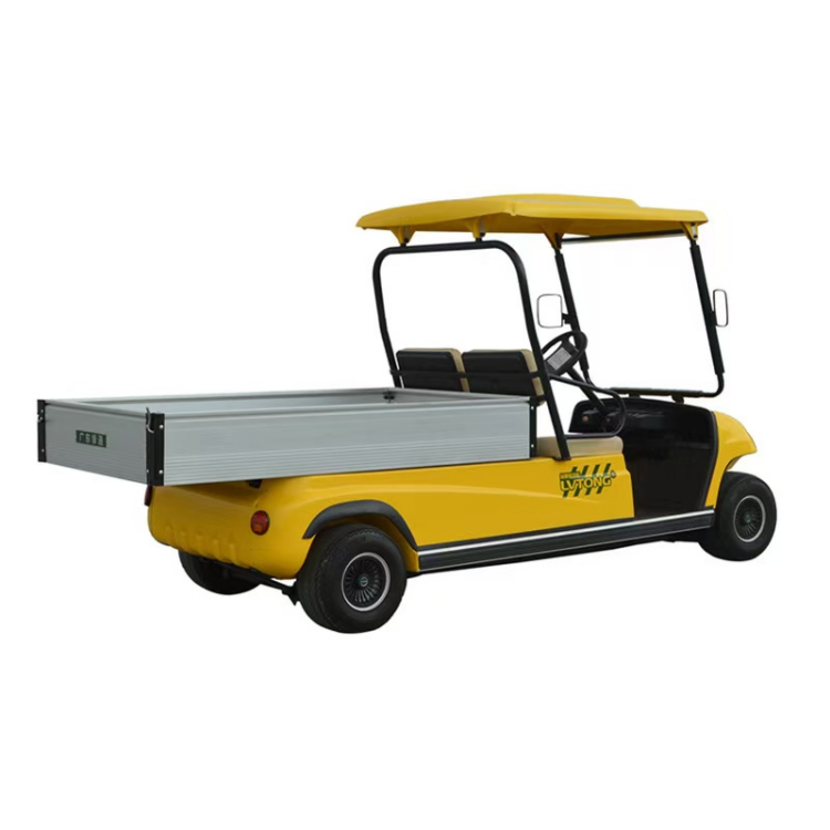 Large Capacity Transportation Vehicles Electric UTV Electric 2 Seater Golf Cart with Cargo Box