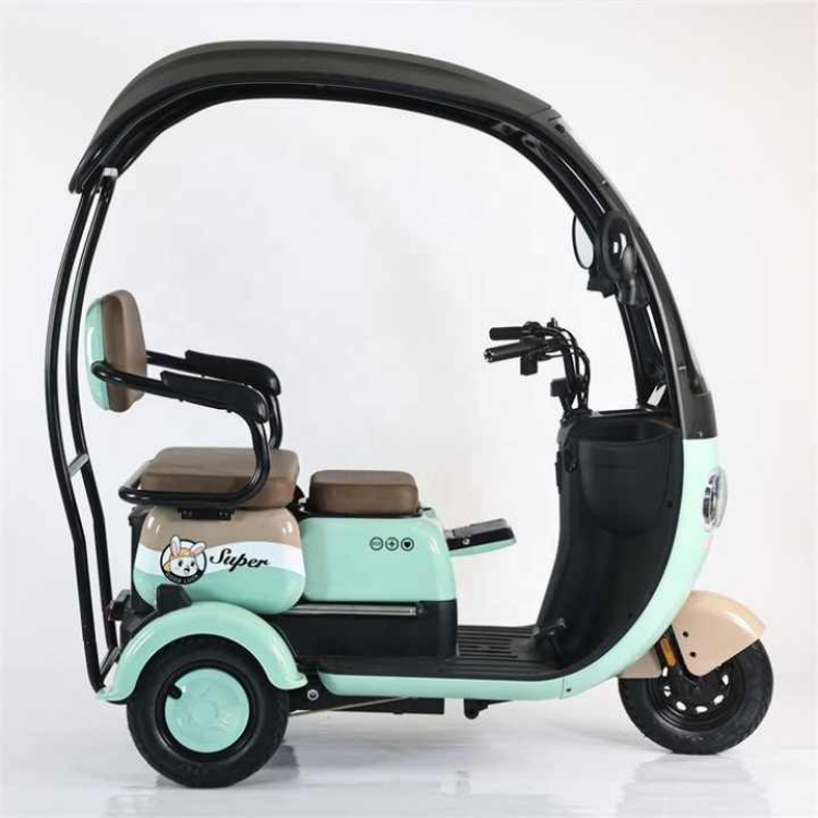 Wholesale Elderly Bike Electric E-Bike E-Elderly Family Bicycle Electric Bike 3 Wheels Tricycles With Roof