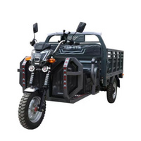 Cheaper Powerful 60V1000W Electric Tricycle Volta Electric Cargo Tricycle Adult Cargo Tricycle for Sale